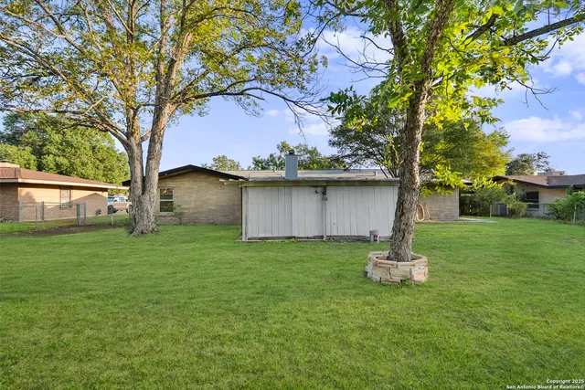 a view of a tree in a yard with a tree