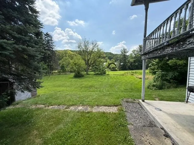 a view of a backyard with large trees