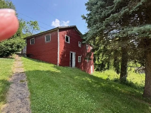 a view of garden with trees
