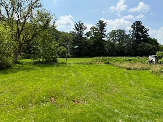 a view of a grassy field with trees
