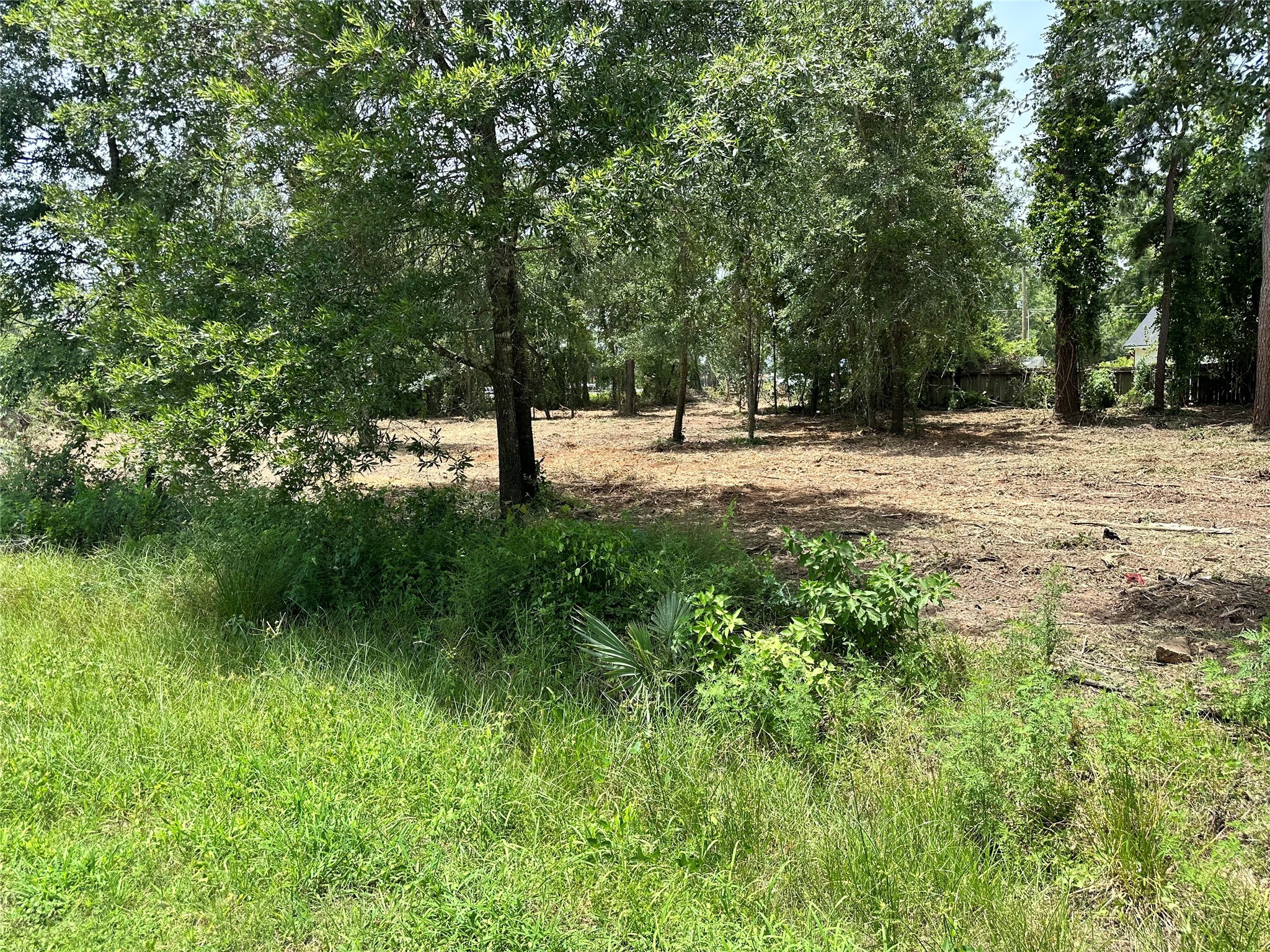 0 Tallow Drive Conroe, TX 77385 - Photo 11 of 11 a view of backyard with green space