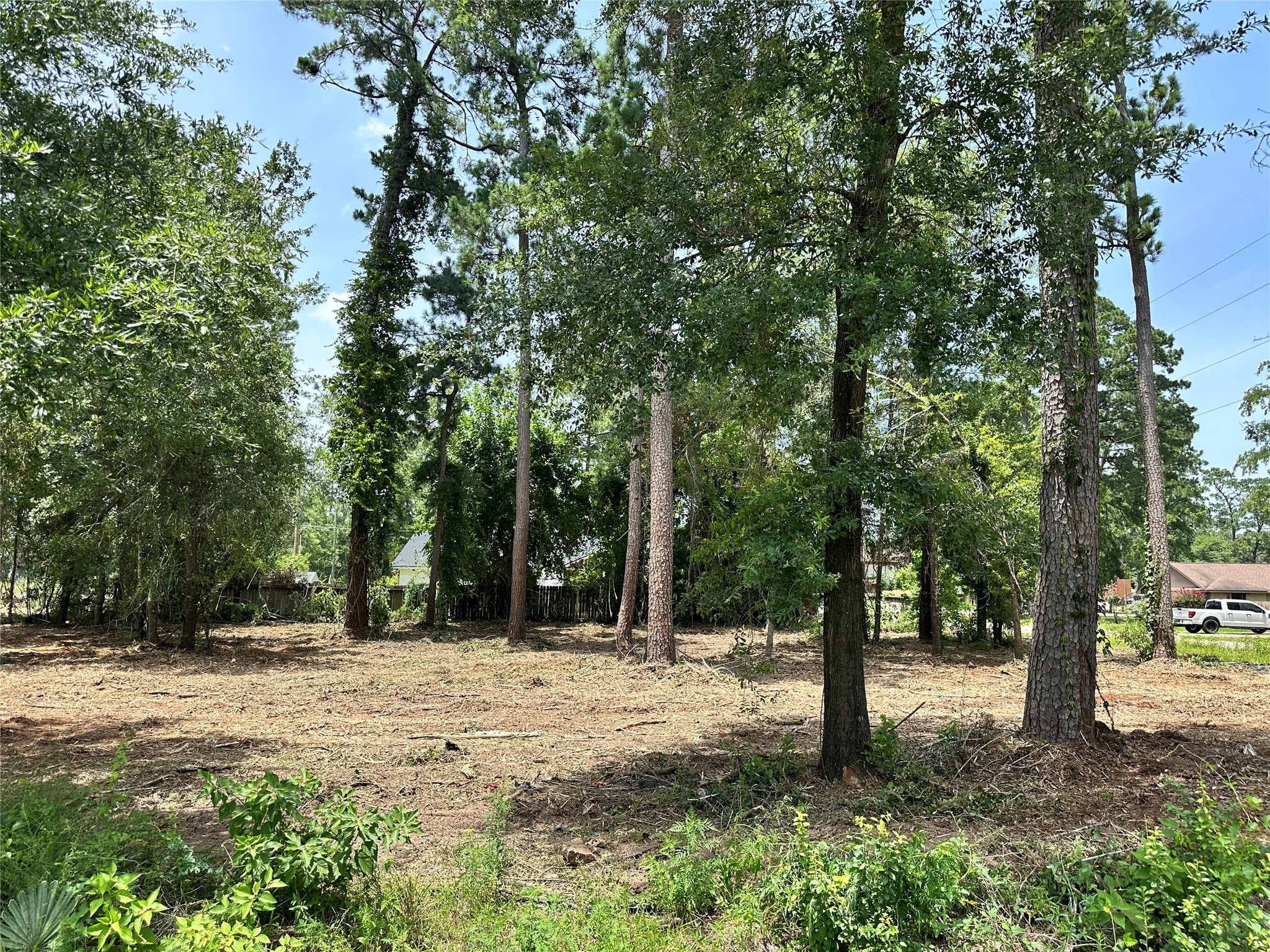 0 Tallow Drive Conroe, TX 77385 - Photo 2 of 11 a view of outdoor space with trees