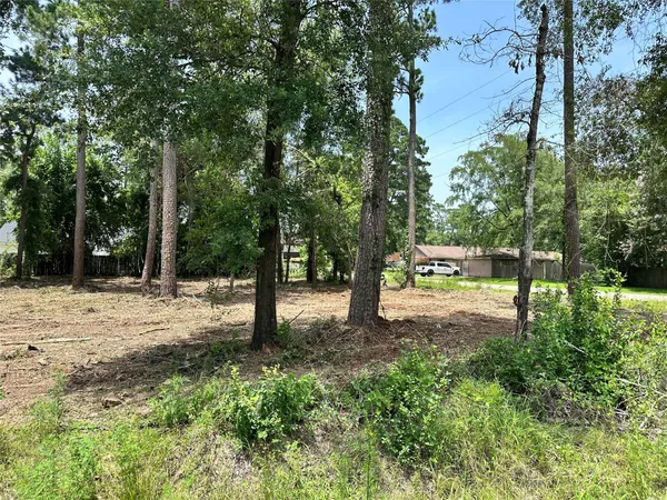 a view of a tree in the middle of a yard