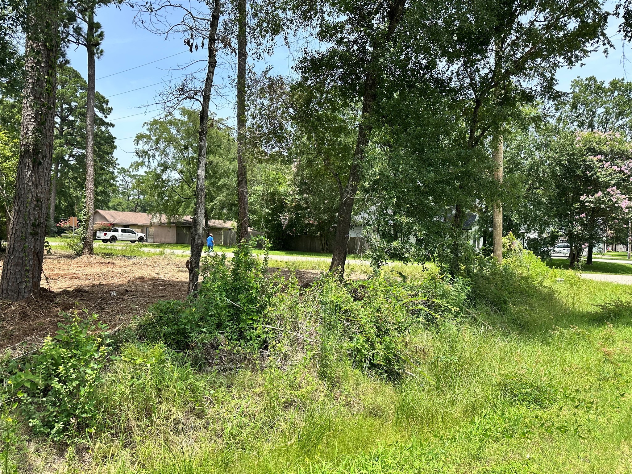 0 Tallow Drive Conroe, TX 77385 - Photo 10 of 11 a view of yard