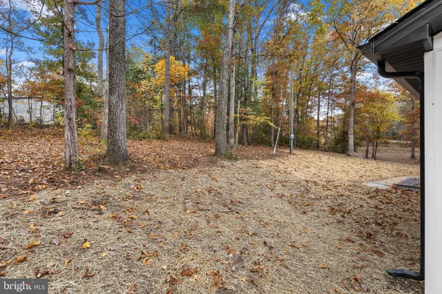 a view of backyard of house
