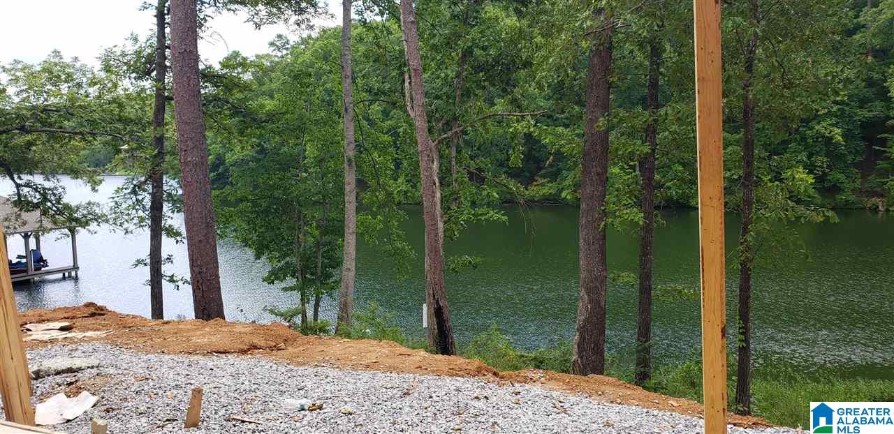 1100 Preserve Road Rockford, AL 35136 - Photo 7 of 18