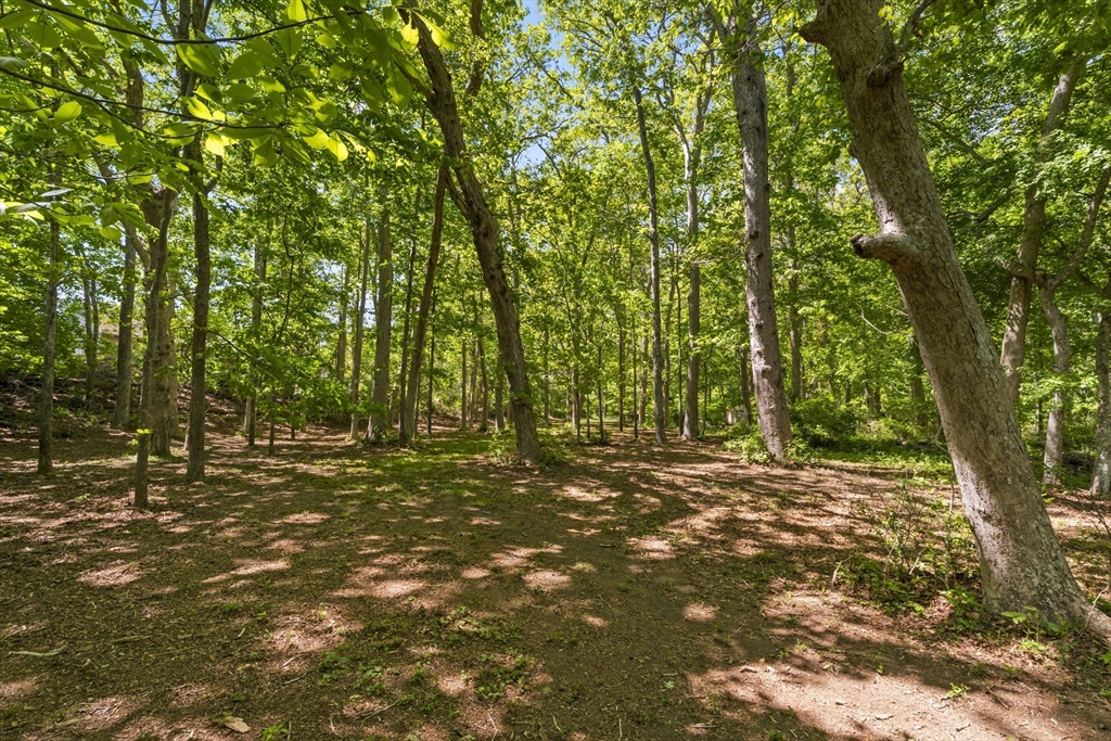 23 Onkokemmy Road West Tisbury, MA 02568 - Photo 3 of 9