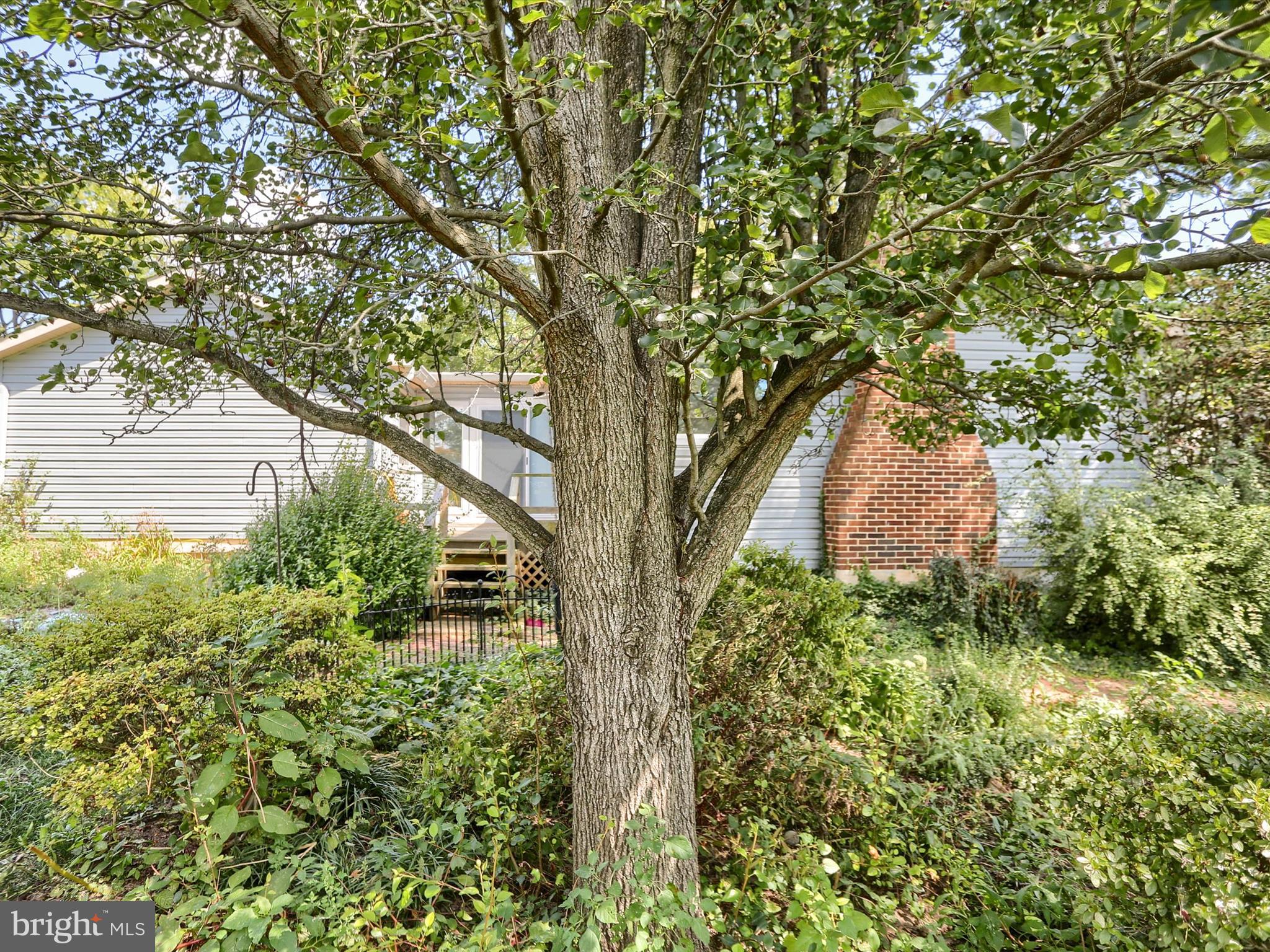 116 Conodoguinet Avenue Camp Hill, PA 17011 - Photo 43 of 44