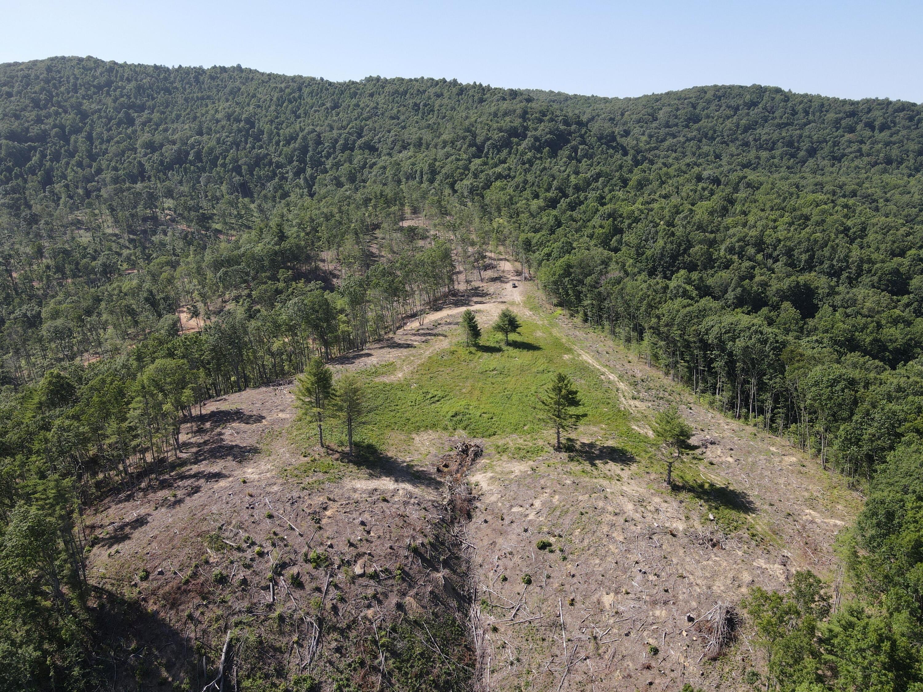 Suck Creek Road Jumping Branch, WV 25969 - Photo 20 of 52 Gallery Image 20
