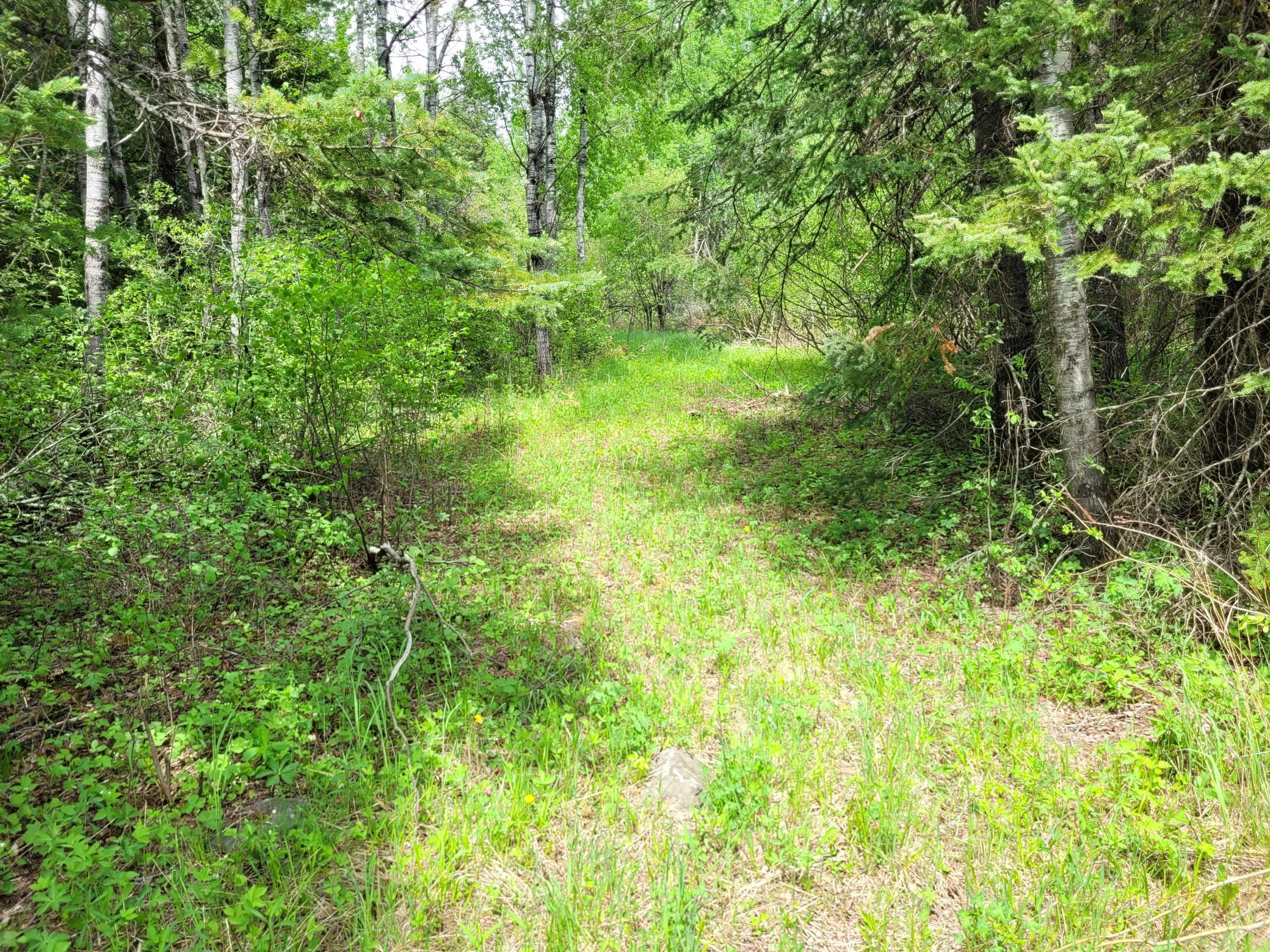 68401 County Road 547 Cook, MN 55723 - Photo 27 of 29