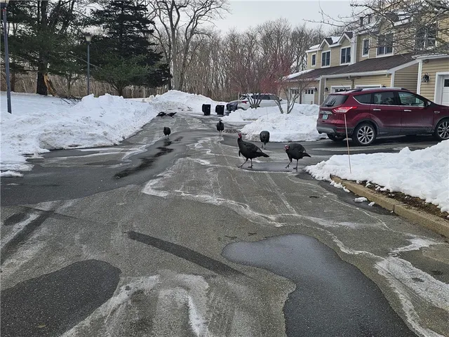 $3,000 | 37 Lawton Brook Lane, Portsmouth, RI 02871