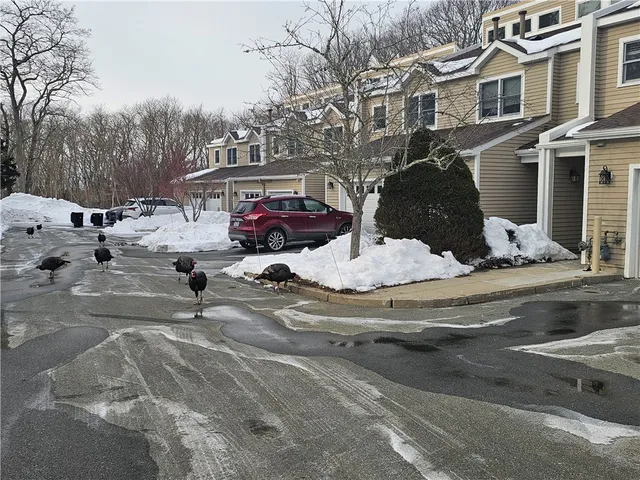 $3,000 | 37 Lawton Brook Lane, Portsmouth, RI 02871