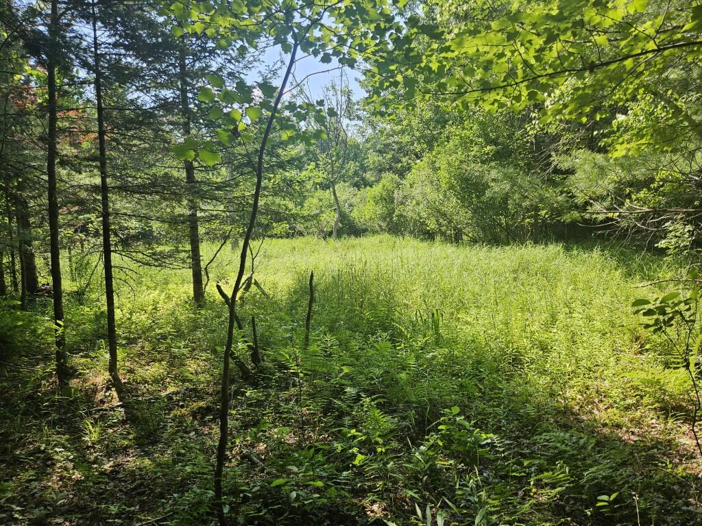 5 Farmington Falls Road New Sharon, ME 04955 - Photo 22 of 39 20260629_154646