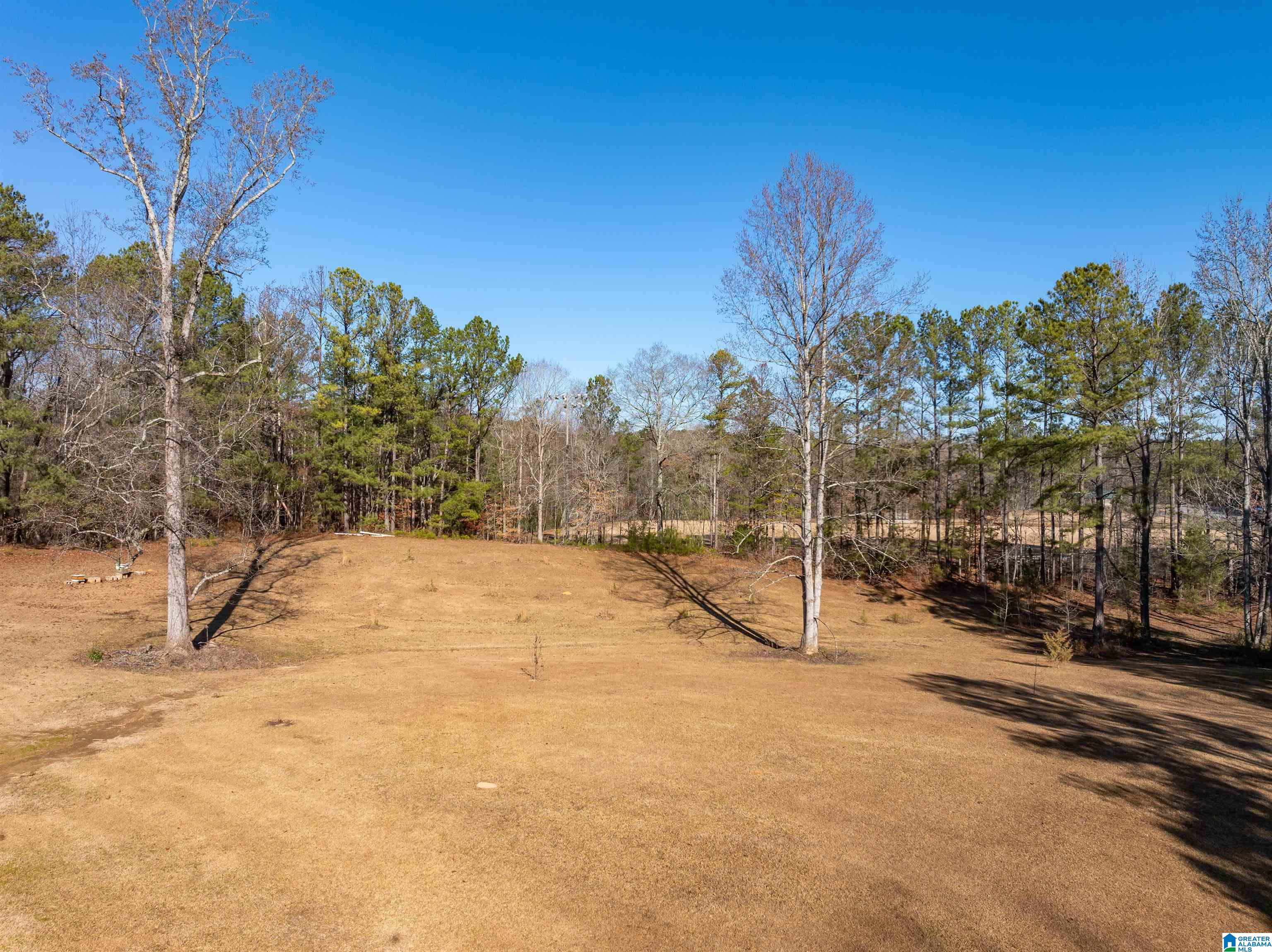 3342 County Road 39 Chelsea, AL 35043 - Photo 54 of 63