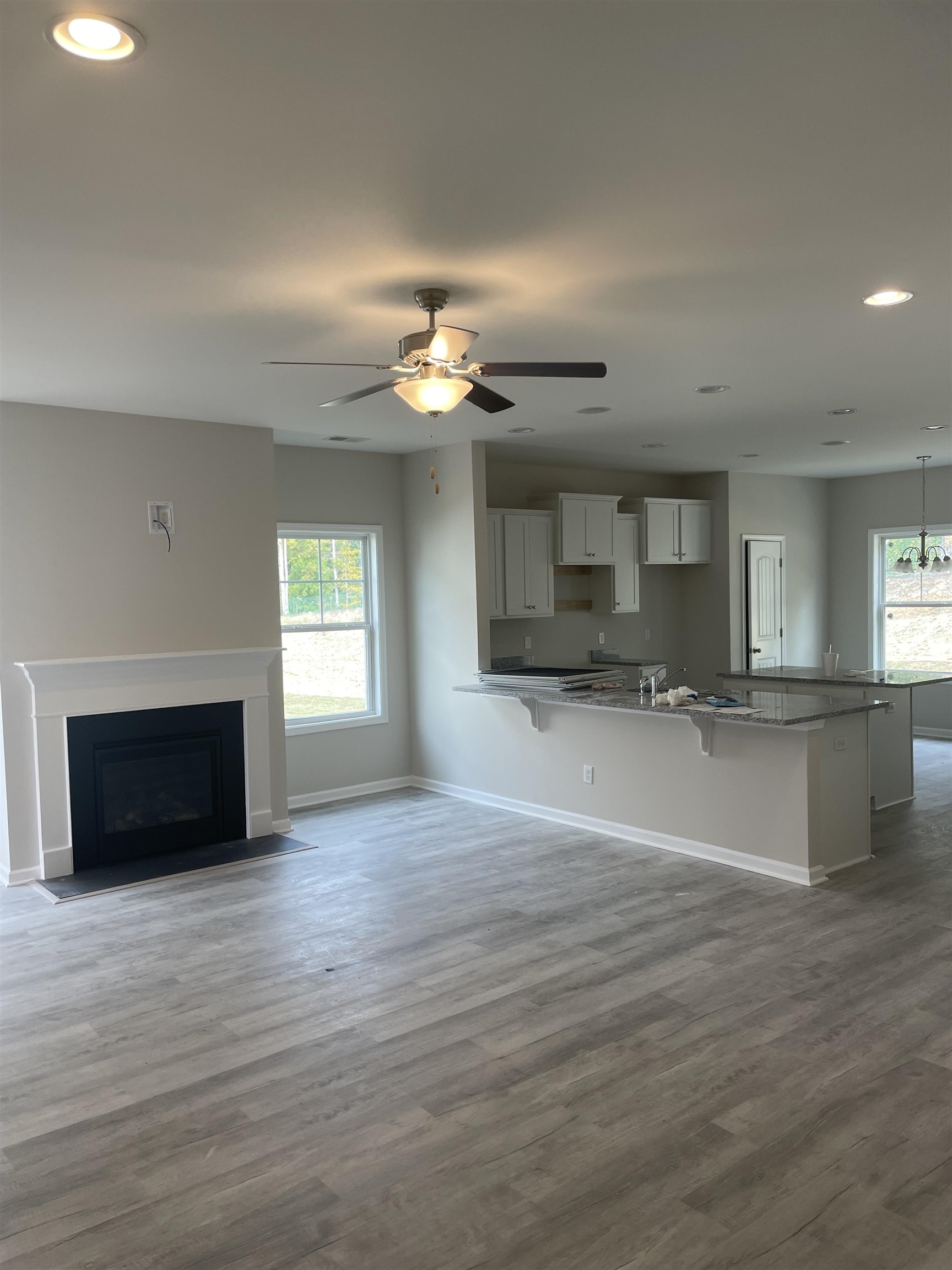 204 Anduin Way Fountain Inn, SC 29644 - Photo 5 of 15