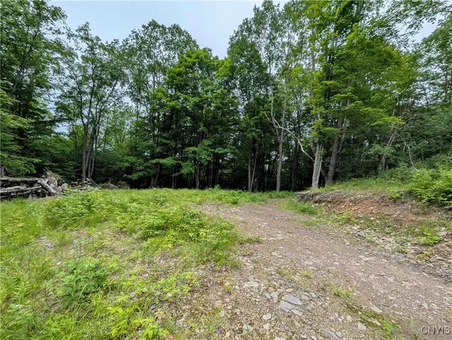 $162,900 | Paynesville Hill Road, Whitesville, NY 14897