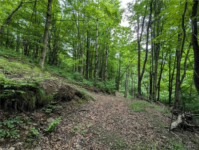 $162,900 | Paynesville Hill Road, Whitesville, NY 14897