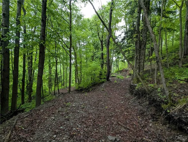 $162,900 | Paynesville Hill Road, Whitesville, NY 14897