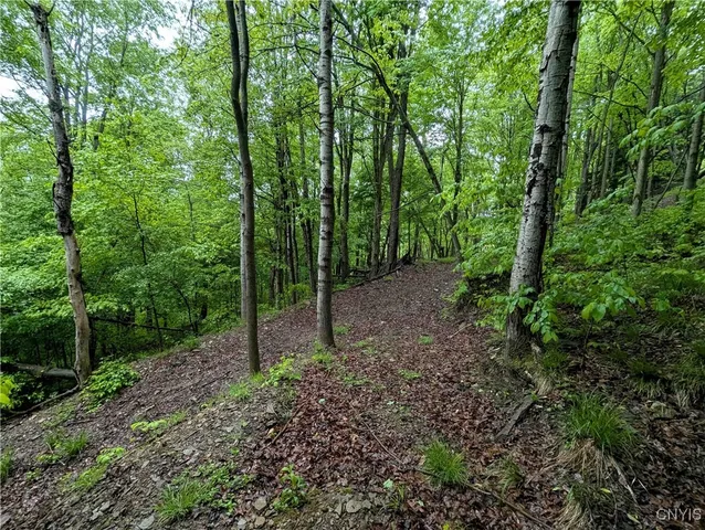 $162,900 | Paynesville Hill Road, Whitesville, NY 14897