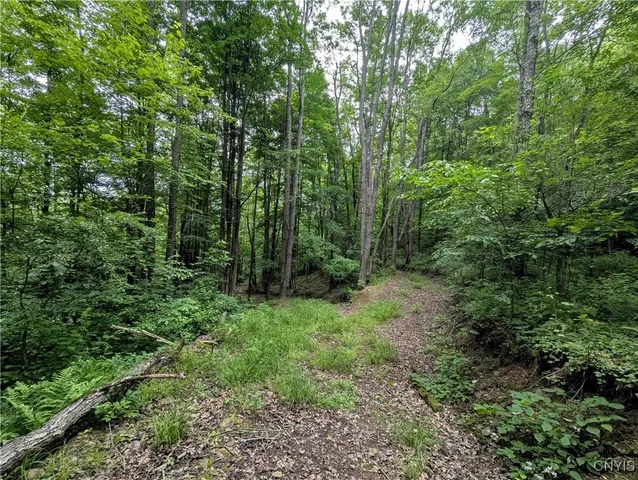 $162,900 | Paynesville Hill Road, Whitesville, NY 14897