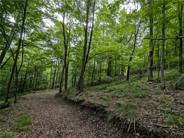 $162,900 | Paynesville Hill Road, Whitesville, NY 14897