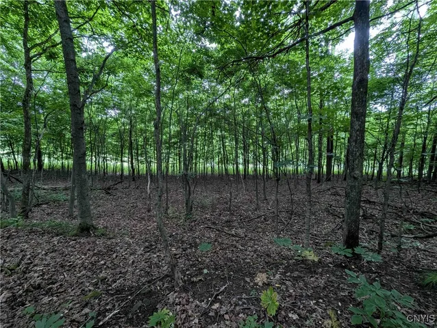 $162,900 | Paynesville Hill Road, Whitesville, NY 14897