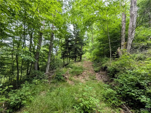 $162,900 | Paynesville Hill Road, Whitesville, NY 14897