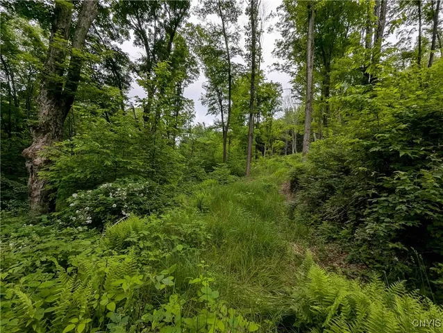 $162,900 | Paynesville Hill Road, Whitesville, NY 14897