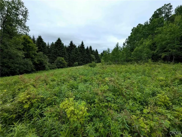 $162,900 | Paynesville Hill Road, Whitesville, NY 14897