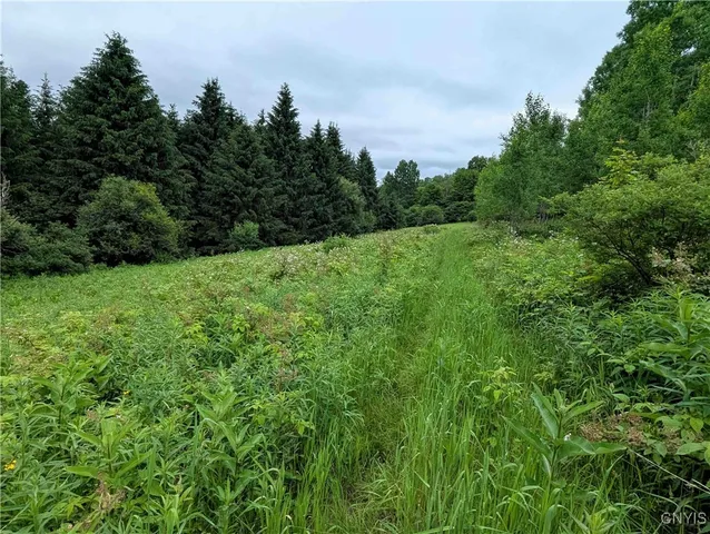 $162,900 | Paynesville Hill Road, Whitesville, NY 14897