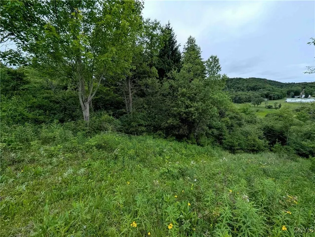 $162,900 | Paynesville Hill Road, Whitesville, NY 14897