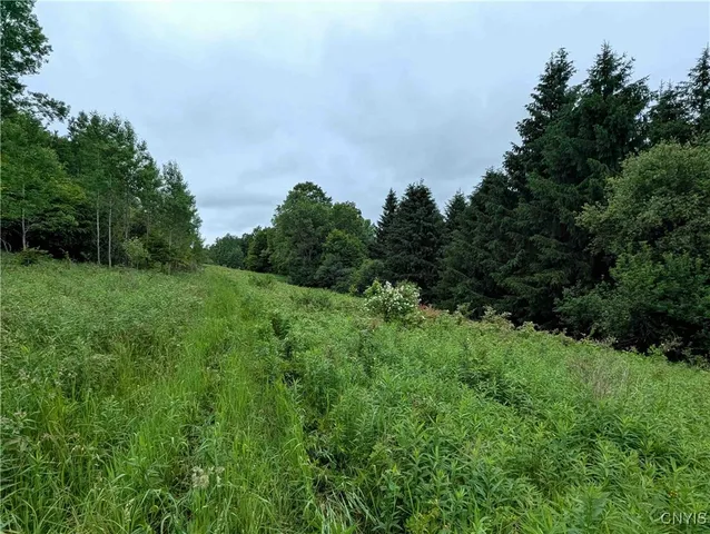 $162,900 | Paynesville Hill Road, Whitesville, NY 14897