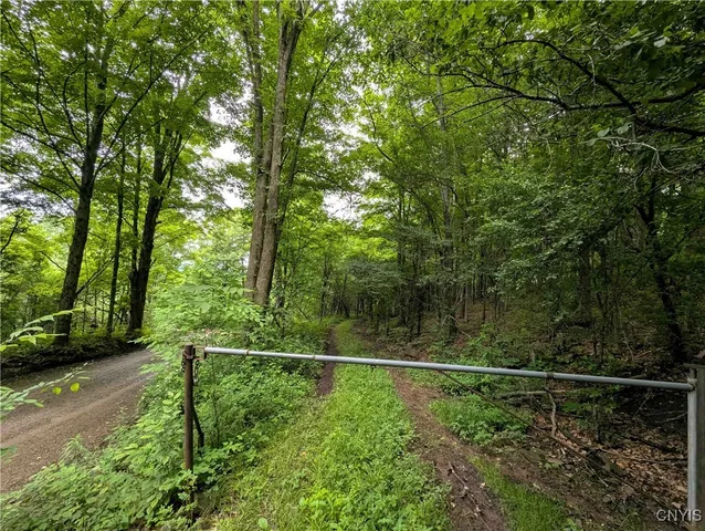 $162,900 | Paynesville Hill Road, Whitesville, NY 14897