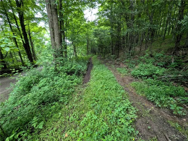 $162,900 | Paynesville Hill Road, Whitesville, NY 14897