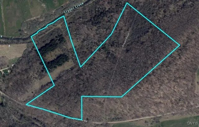 $162,900 | Paynesville Hill Road, Whitesville, NY 14897