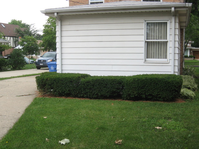 1229 Hoffman Avenue Park Ridge, IL 60068 - Photo 14 of 18