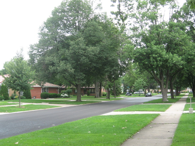 1229 Hoffman Avenue Park Ridge, IL 60068 - Photo 18 of 18