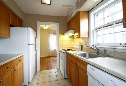 1229 Hoffman Avenue Park Ridge, IL 60068 - Photo 3 of 18