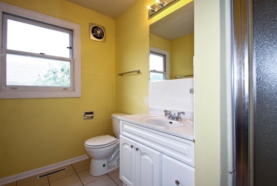 1229 Hoffman Avenue Park Ridge, IL 60068 - Photo 6 of 18