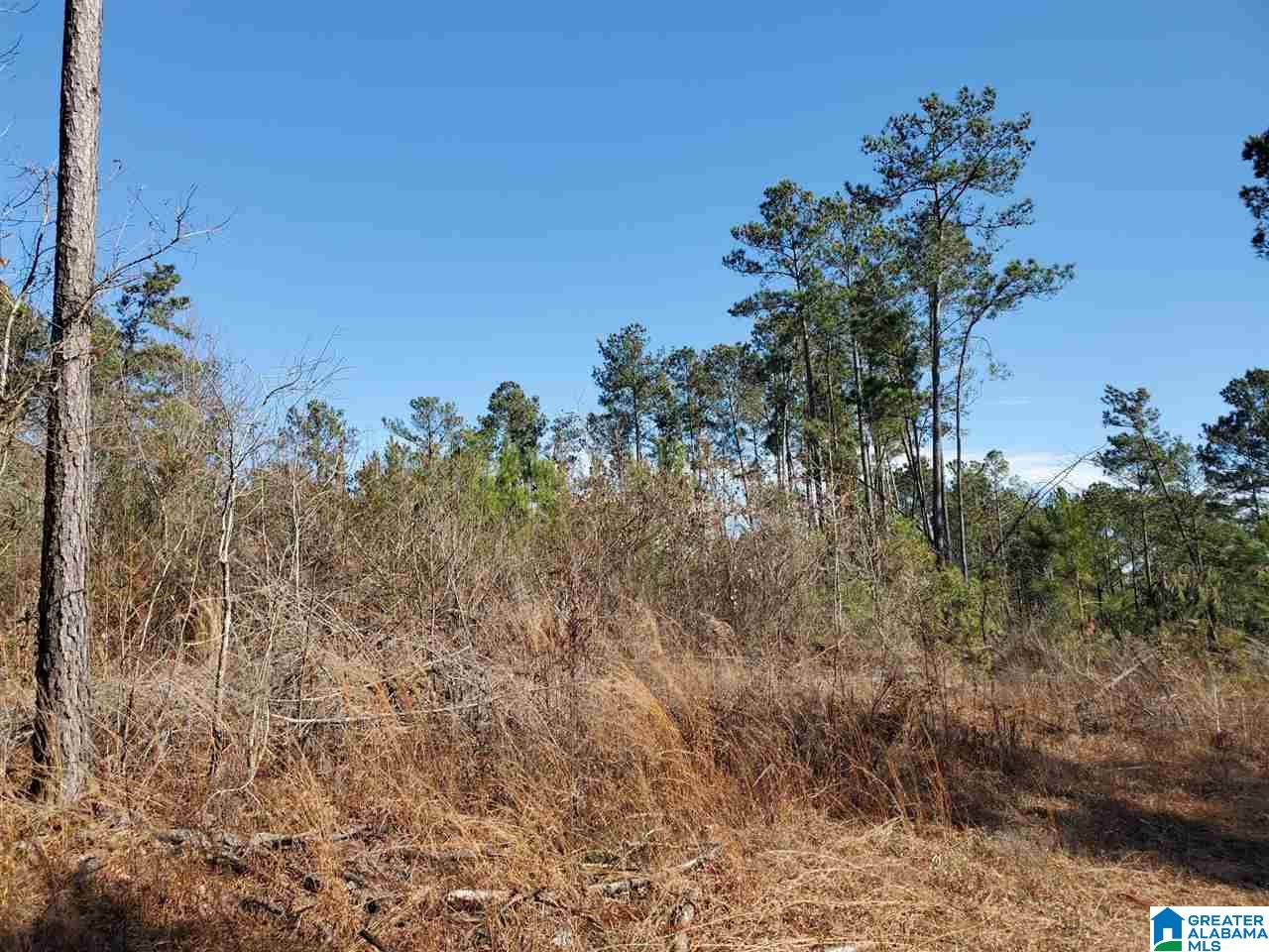 .2 Gould Road, Unit 3 Columbiana, AL 35051 - Photo 6 of 11
