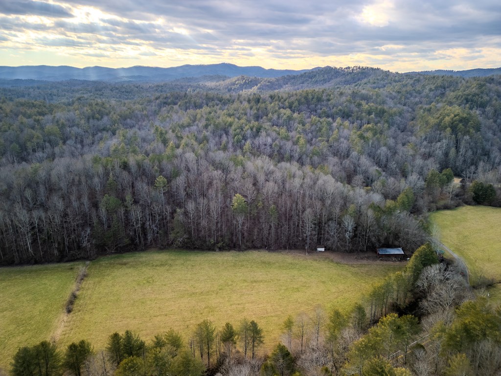3771 Gates Chapel Road Ellijay, GA 30540 - Photo 11 of 12 Gallery Image 11