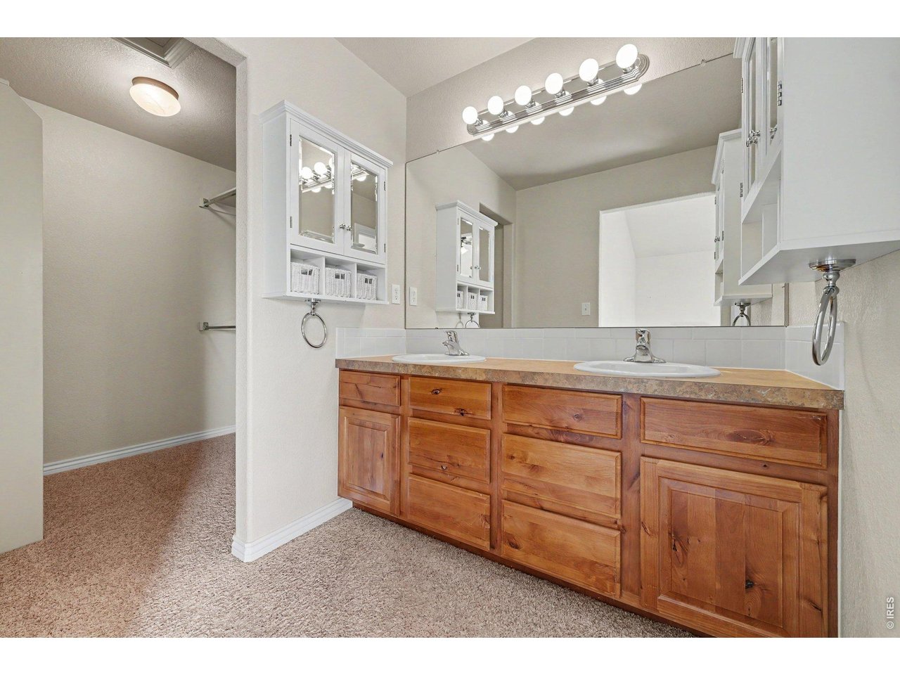 9064 Raging Bull Lane Wellington, CO 80549 - Photo 18 of 39