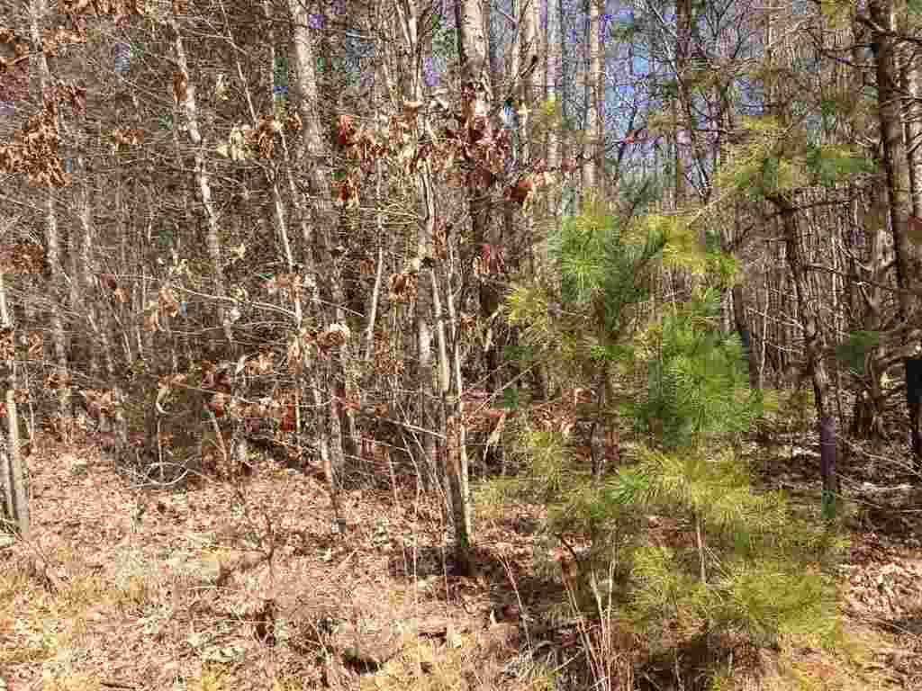 0 Woodmont Road Central, SC 29630 - Photo 1 of 4 Gallery Image 1