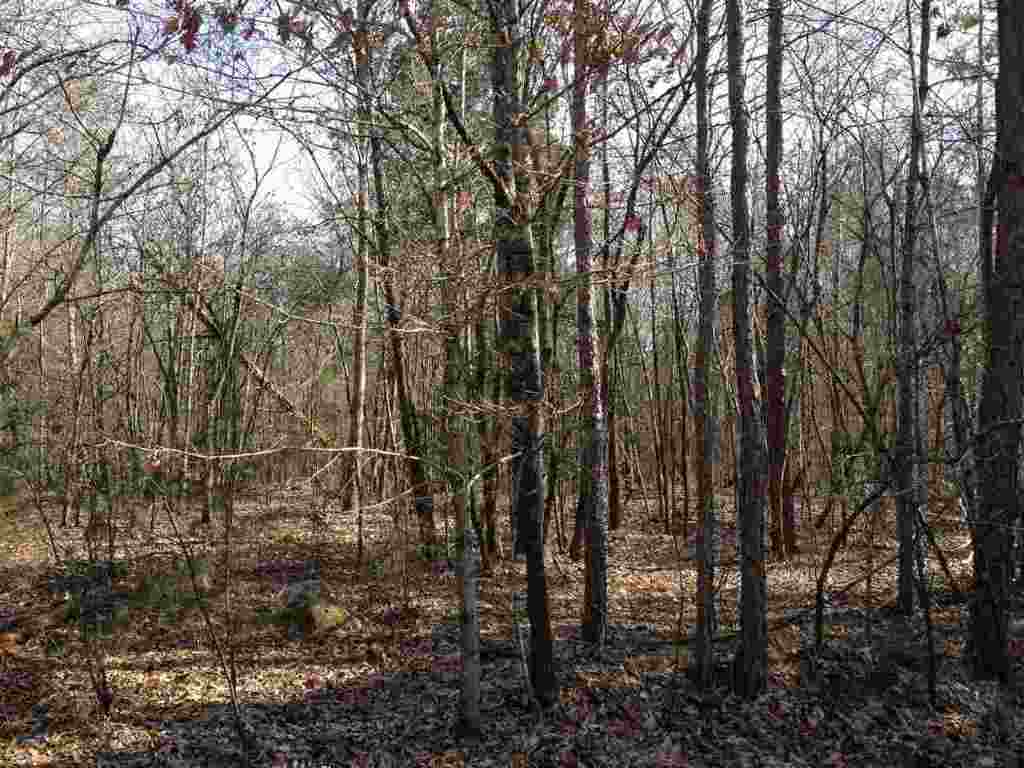 0 Woodmont Road Central, SC 29630 - Photo 4 of 4 Gallery Image 4