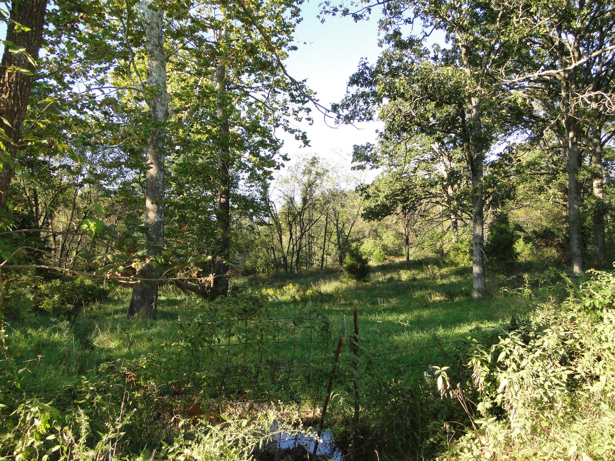 13361 Co Road Ava, MO 65608 - Photo 1 of 1 DSC08143