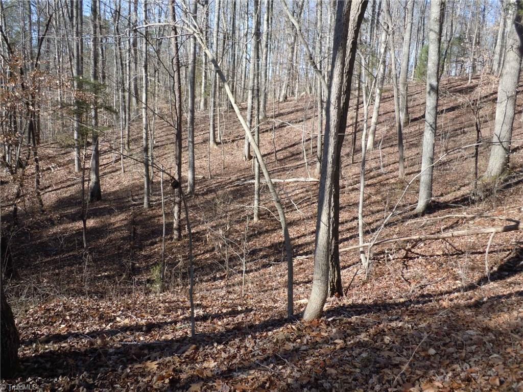 0 Germanton Road, Unit TRACT C Rural Hall, NC 27045 - Photo 1 of 18
