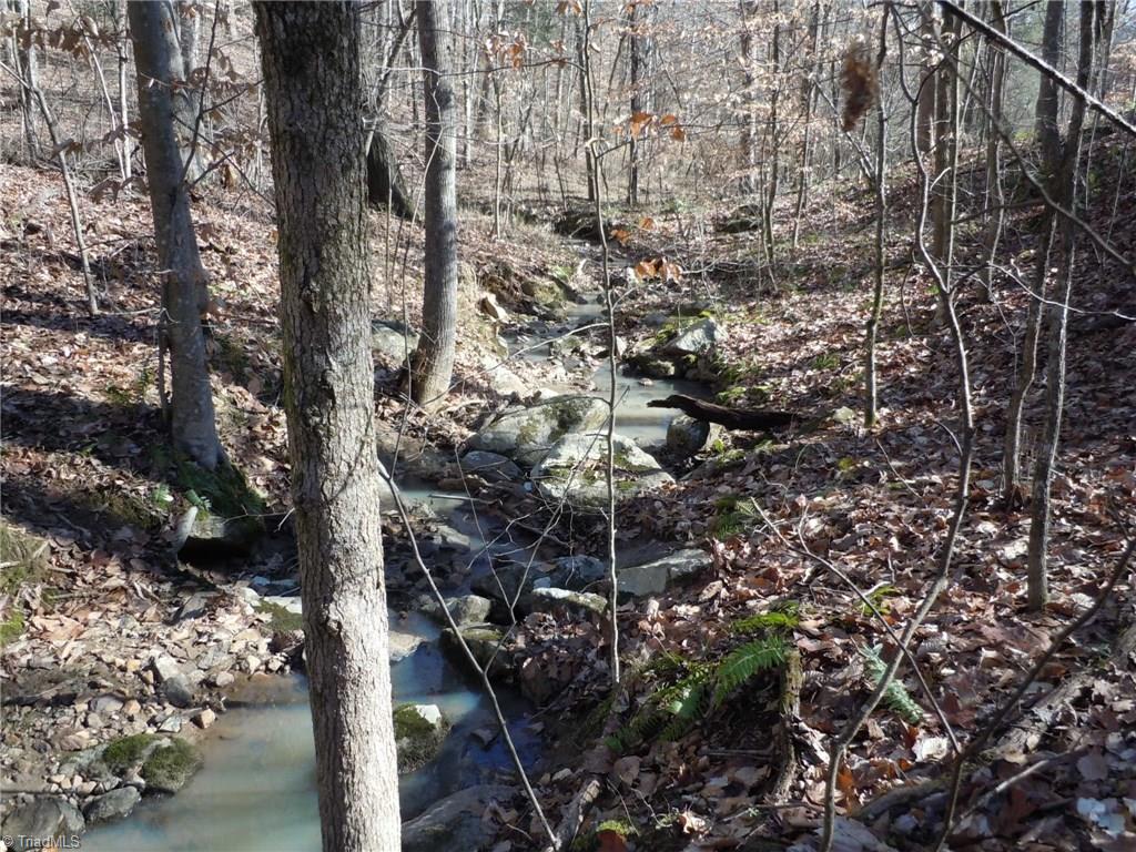 0 Germanton Road, Unit TRACT C Rural Hall, NC 27045 - Photo 2 of 18