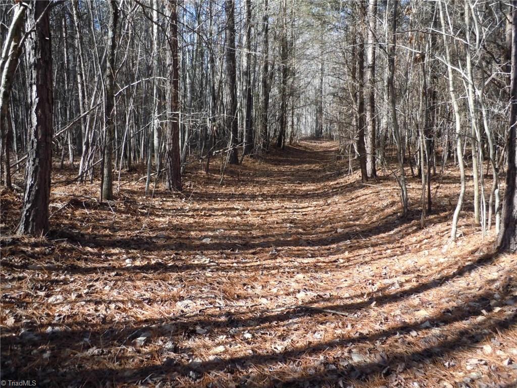 0 Germanton Road, Unit TRACT C Rural Hall, NC 27045 - Photo 12 of 18