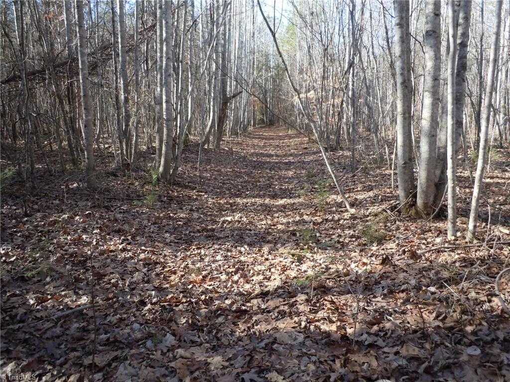 0 Germanton Road, Unit TRACT C Rural Hall, NC 27045 - Photo 13 of 18