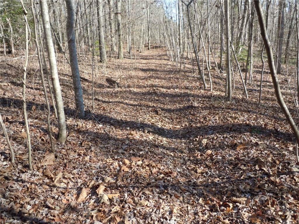 0 Germanton Road, Unit TRACT C Rural Hall, NC 27045 - Photo 14 of 18
